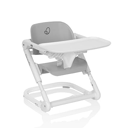 Evenflo Eat & Go 2-in-1 Portable Folding Booster